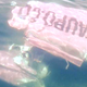 Illustration for article titled Parachutes Save Thirteen Lives As Skydiving Plane Crashes Into Lake